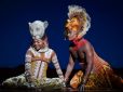 All Inclusive Lion King Musical (Quelle Stage Entertainment).jpg